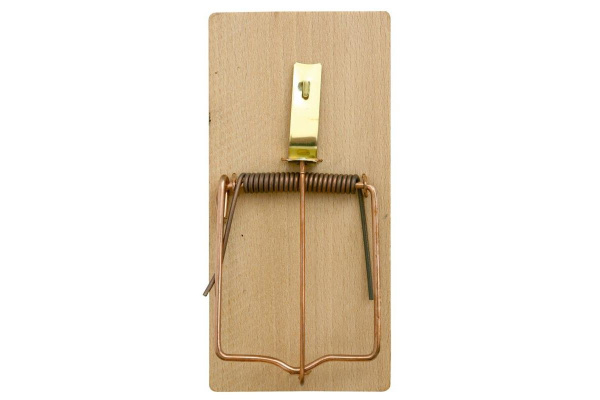 Past na krysy dřevěná